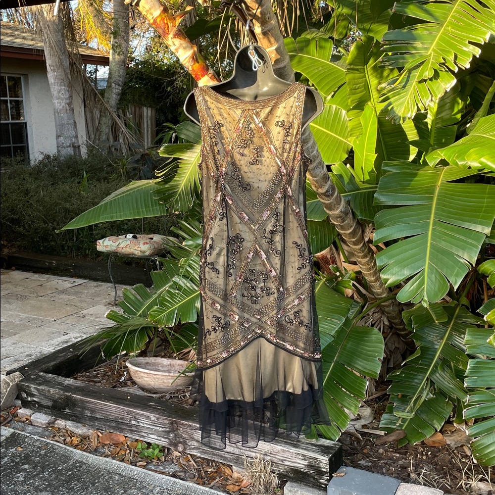 Sheer mesh drop waist beaded, and sequin dress. - Picture 4 of 8